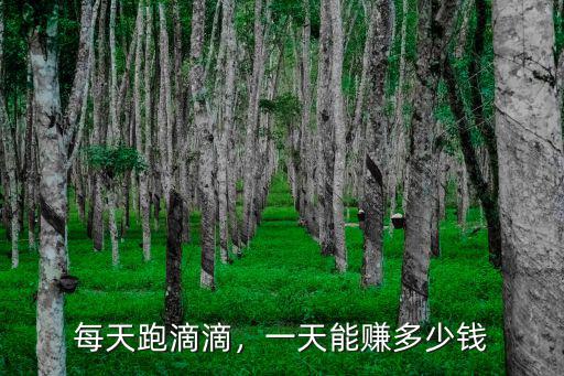 每天跑滴滴，一天能賺多少錢