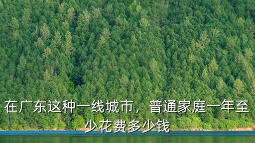 在廣東這種一線城市，普通家庭一年至少花費多少錢