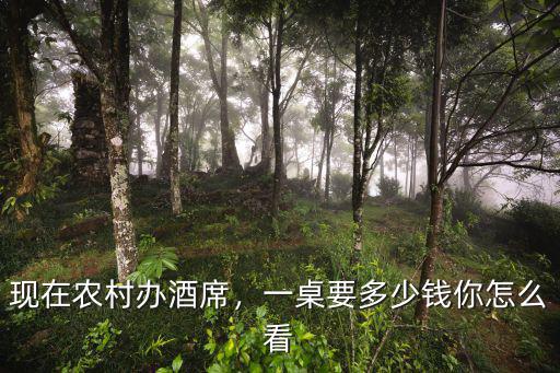現在農村辦酒席，一桌要多少錢你怎么看