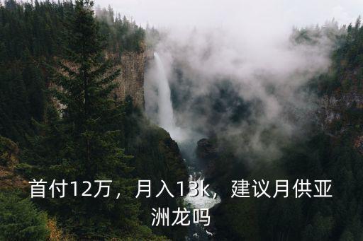 首付12萬，月入13k，建議月供亞洲龍嗎