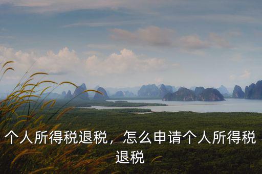 湛江怎么退稅申請(qǐng),個(gè)人所得稅退稅