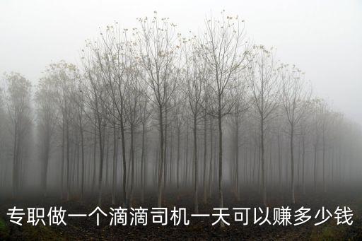 汕尾滴滴司機1個月能賺多少錢,一個月大概能掙多少錢