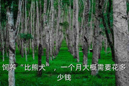 廣州比熊多少錢一斤,一個月大概需要花多少錢