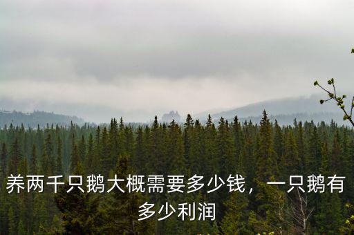 清遠(yuǎn)小鵝多少錢一只,養(yǎng)兩千只鵝大概需要多少錢