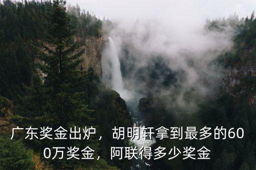 廣東二青會獎金多少,CBA冠軍獎金多少