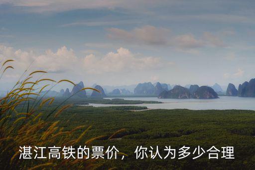 湛江高鐵的票價，你認為多少合理