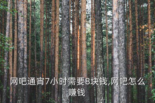 揭陽網吧通宵多少錢,網吧通宵7小時需要8塊錢