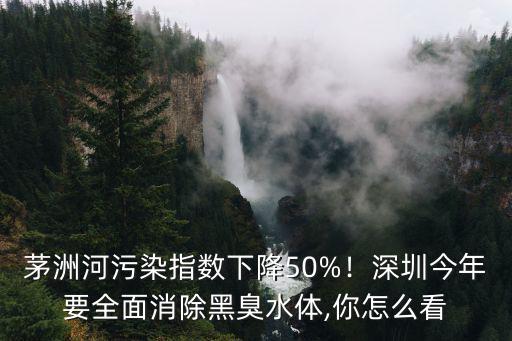 深圳茅洲河治理怎么樣,深圳的環境怎么樣