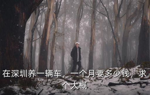在深圳養一輛車，一個月要多少錢，求個大概