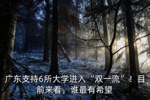 廣東支持6所大學進入“雙一流”！目前來看，誰最有希望