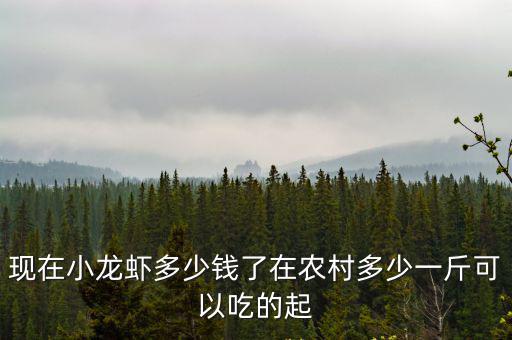 汕頭小龍蝦價(jià)格多少錢,現(xiàn)在小龍蝦多少錢了