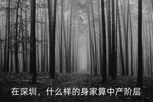 在深圳，什么樣的身家算中產階層