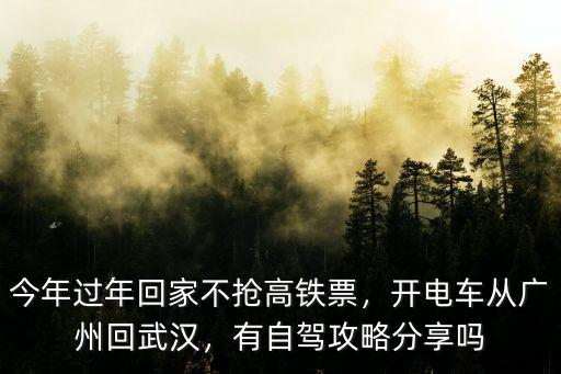 從廣州自駕車到武漢有多少公里,開電車從廣州回武漢
