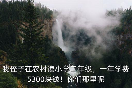 我侄子在農村讀小學二年級，一年學費5300塊錢！你們那里呢