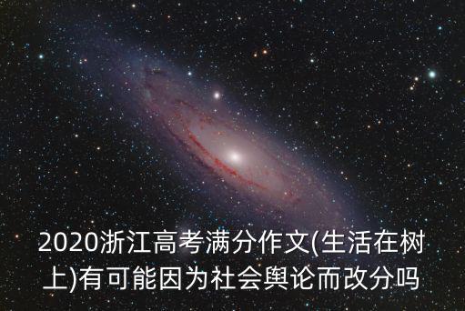 浙江高考滿分作文多少,2020浙江高考滿分作文