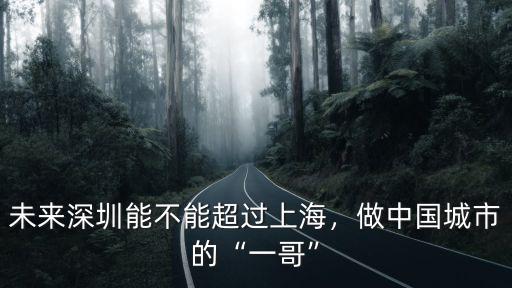 未來深圳能不能超過上海，做中國城市的“一哥”