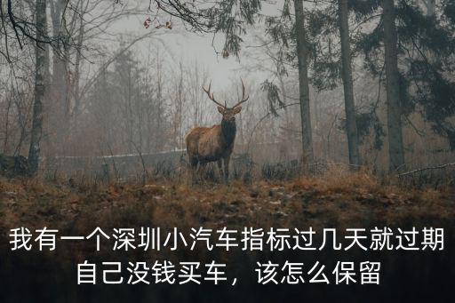 車牌深圳指標延期怎么辦理,有深圳上牌指標