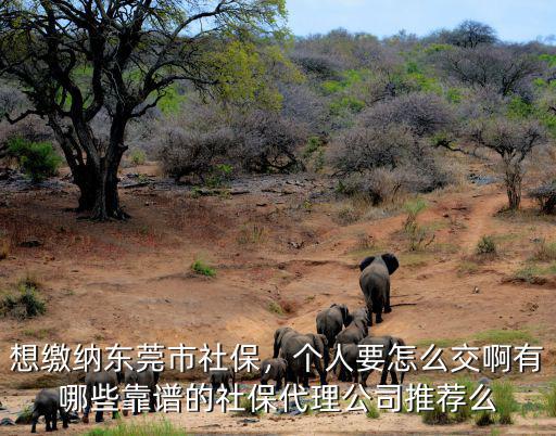 想繳納東莞市社保，個(gè)人要怎么交啊有哪些靠譜的社保代理公司推薦么