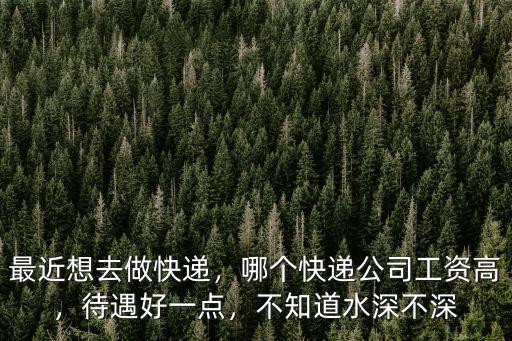 最近想去做快遞，哪個快遞公司工資高，待遇好一點，不知道水深不深