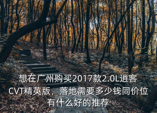 逍客落地多少錢廣州店,逍客豪華版落地多少錢