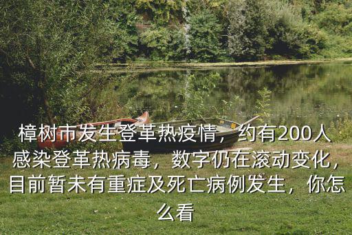 樟樹市發生登革熱疫情，約有200人感染登革熱病毒，數字仍在滾動變化，目前暫未有重癥及死亡病例發生，你怎么看