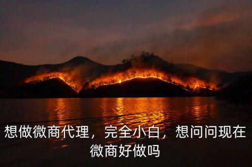 想做微商代理，完全小白，想問問現在微商好做嗎
