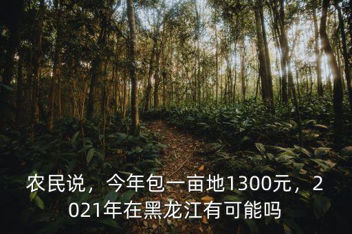 農民說，今年包一畝地1300元，2021年在黑龍江有可能嗎