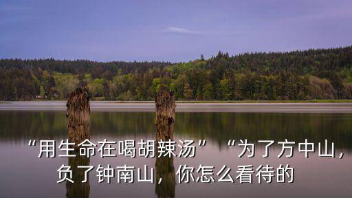 “用生命在喝胡辣湯”“為了方中山，負了鐘南山，你怎么看待的