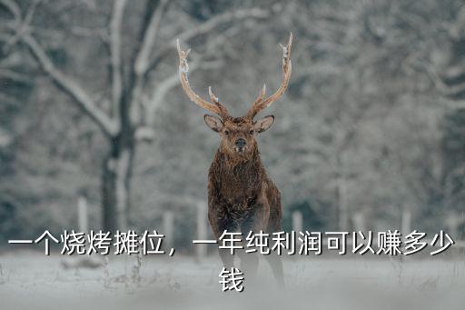 潮州市如意路燒烤攤一年賺多少,一年純利潤可以賺多少錢