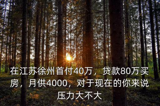 在江蘇徐州首付40萬，貸款80萬買房，月供4000，對于現在的你來說壓力大不大