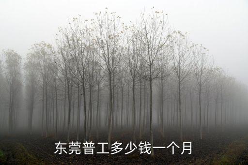 東莞工資底薪多少錢,東莞松山湖華為