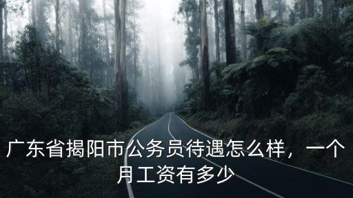 揭陽公務(wù)員工資一般是多少,廣東省公務(wù)員待遇怎么樣