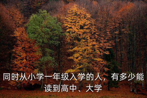 同時從小學一年級入學的人，有多少能讀到高中、大學