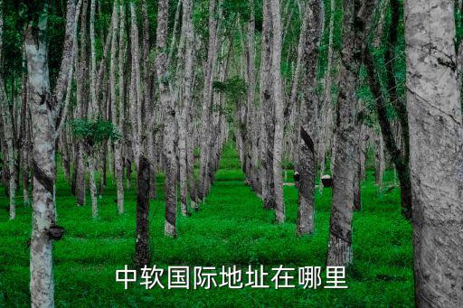中軟國際地址在哪里