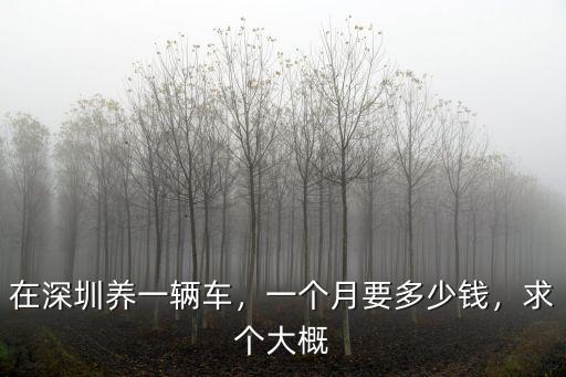 在深圳養一輛車，一個月要多少錢，求個大概