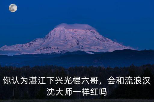 查看2019年湛江有多少光棍,中國有多少光棍