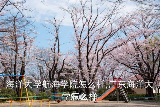 廣州海洋大學航海學院怎么樣,廣東海洋大學怎么樣