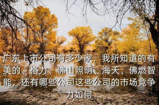 廣東省有多少家鹽化公司,還有哪些公司