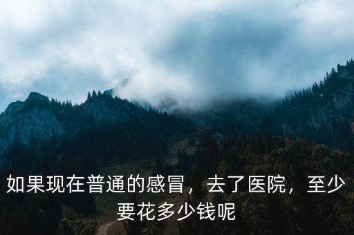 如果現在普通的感冒，去了醫院，至少要花多少錢呢