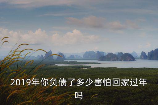 2019年你負(fù)債了多少害怕回家過年嗎