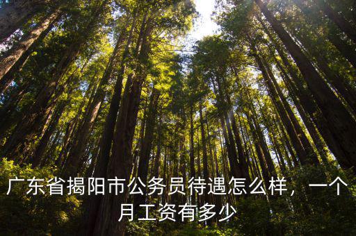 揭陽市2020全社會平均工資多少,2020社會平均工資會低嗎