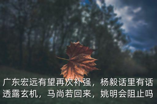 廣東宏遠有望再次補強，楊毅話里有話透露玄機，馬尚若回來，姚明會阻止嗎