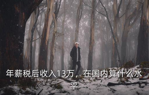 年薪稅后收入13萬，在國內(nèi)算什么水平
