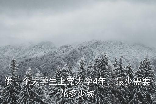 供一個大學生上完大學4年，最少需要花多少錢