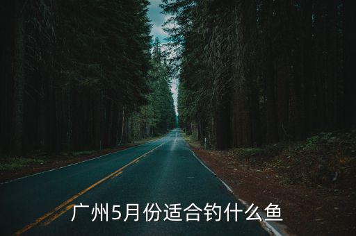 廣州5月份適合釣什么魚