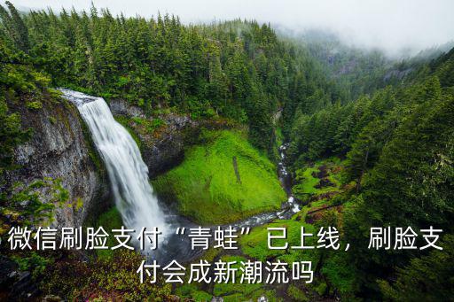 微信刷臉支付“青蛙”已上線，刷臉支付會成新潮流嗎