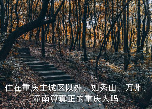 重慶秀山在深圳有多少人,重慶人在廣東打工