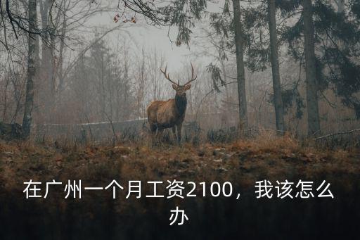 在廣州做搬運工一個月多少錢,在廣州打工一個月工資有多少