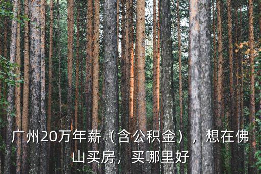 廣州20萬年薪（含公積金），想在佛山買房，買哪里好