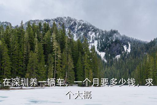 在深圳養一輛車，一個月要多少錢，求個大概